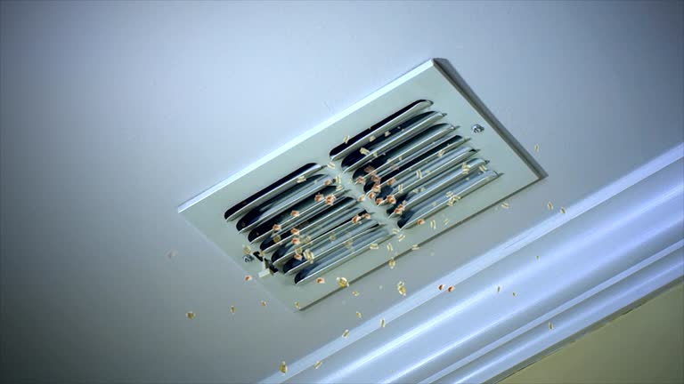Best Air Duct Cleaning Near Me  in Kannapolis, NC